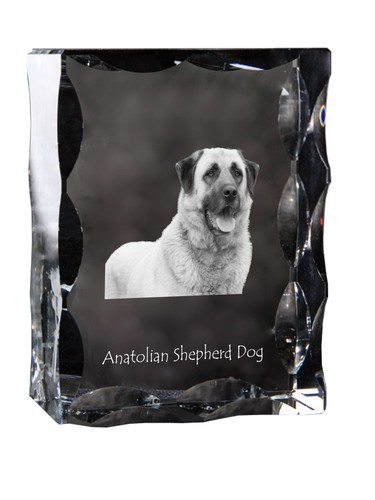 Anatolian Shepherd Dog, Turkish Kangal Dog - crystal with a picture of a dog, gl - 第 2/6 張圖片