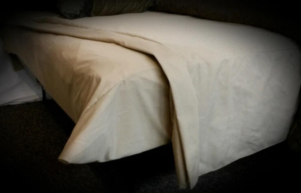 Won't Pop Off Twin / XLong College Twin Set, Sábana Ajustable Azul Rojo Impresiones Sólido Foto 3 de 4