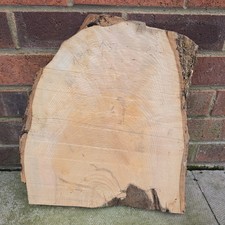 Live edge ash wood slab #B, hardwood board, waney edge slab