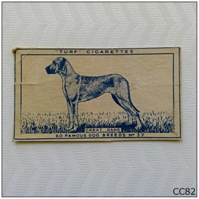 turf cigarette cards Turf Cigarette Card Famous Dog Breeds #37 Great Dane (CC82)