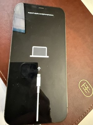 Apple iPhone 12 Pro Max Error 4013 For Parts Or Repair Verizon Read