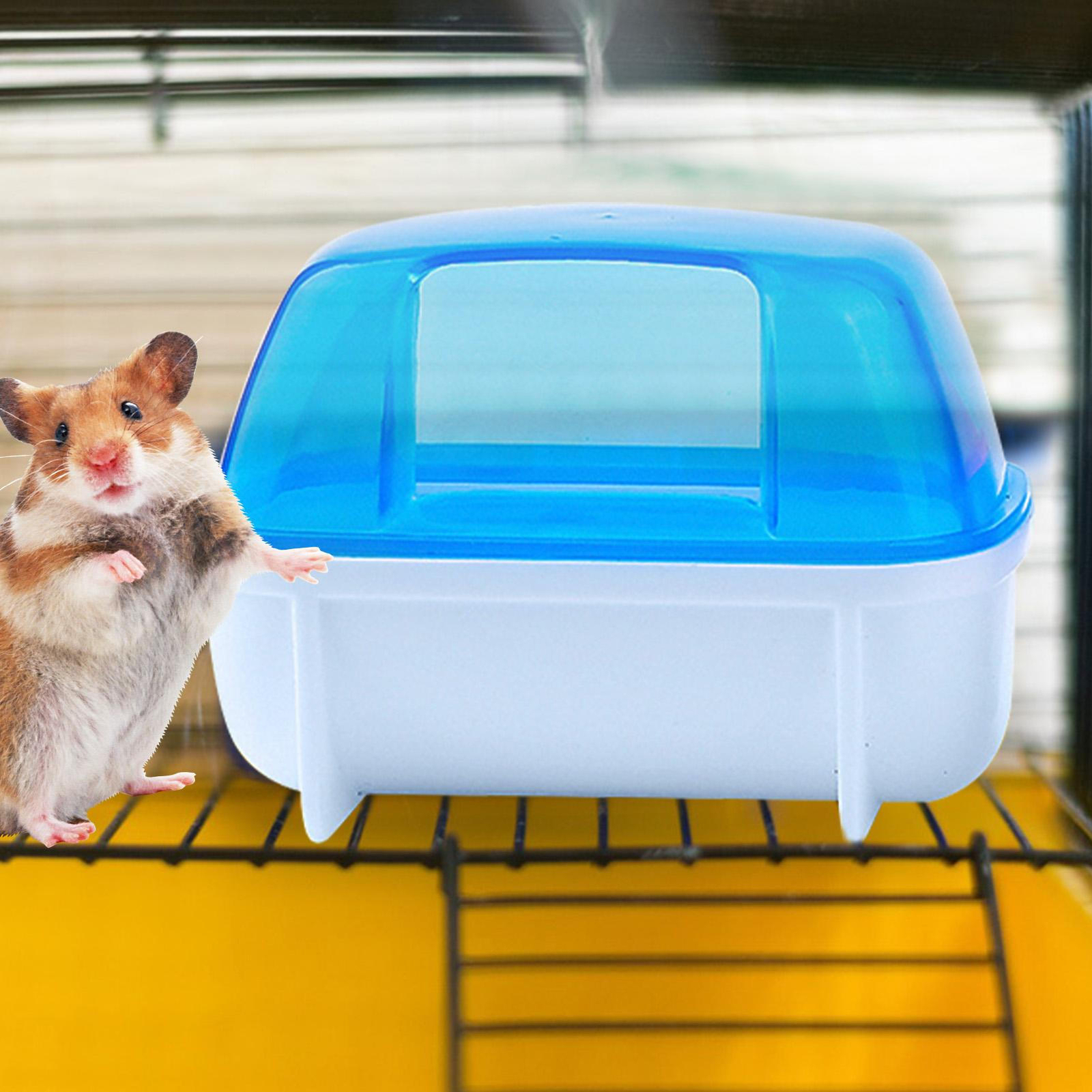 Hamster Mouse Gerbil Sand Bath Small Pet Sand Bath Container Box eBay