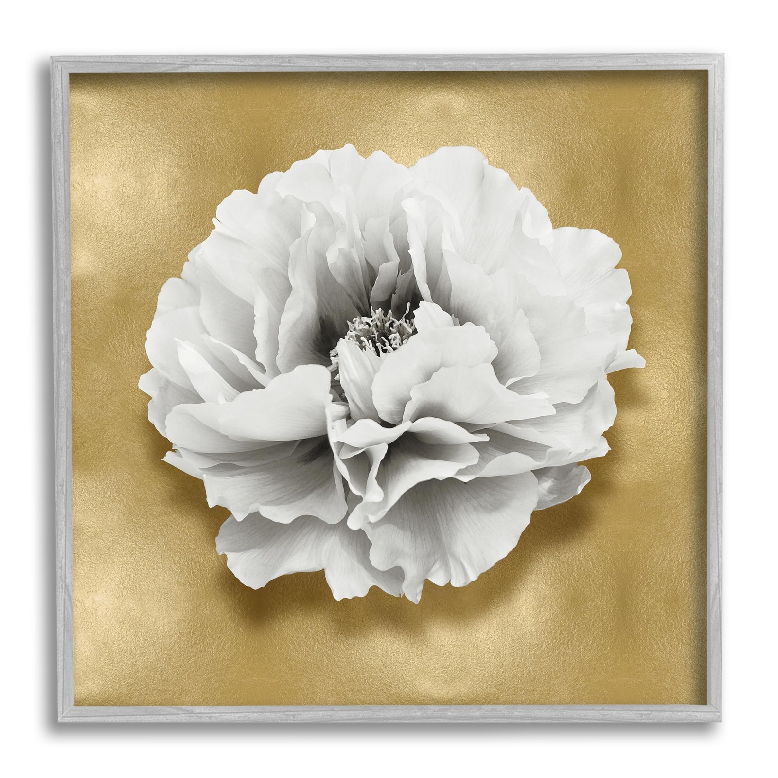 White Peony on Gold Framed Giclee Art by Caroline Kelly