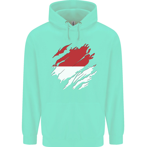 Torn Indonesia Flag Indonesian Day Football Childrens Kids Hoodie - Picture 27 of 76