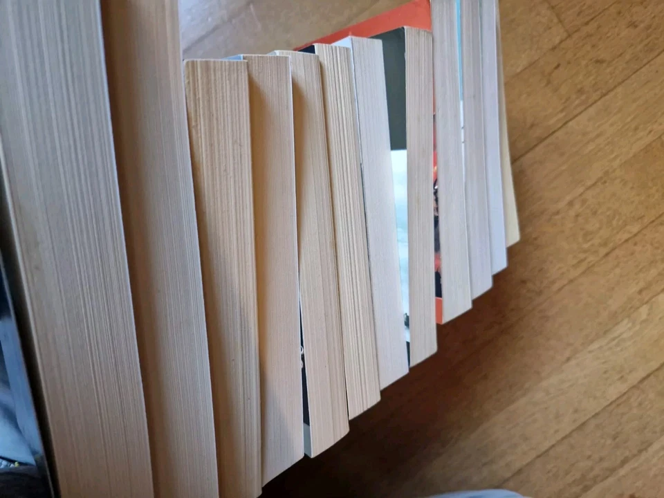 LE CRONACHE DEL GHIACCIO E DEL FUOCO di George Martin saga completa in 12 volumi - Immagine 4 di 4