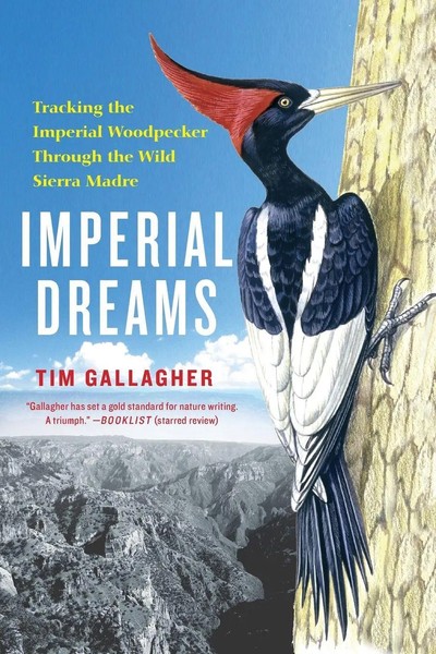 Imperial Dreams Tracking The Imperial Woodpecker Through The Wild Tim Gallagher-image