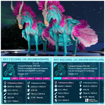 Ark Survival Ascended pve CC DREADMARE PAAR XBOX/PC/PS5