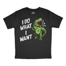 Youth Funny T Shirts I Do What I Want Sarcastic T Rex Graphic Novelty Tee For