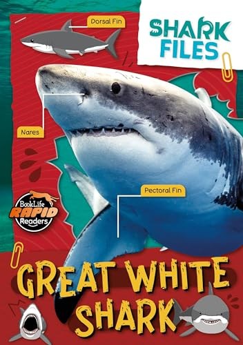 Great White Shark by Robin Twiddy PAPERBACK 9781805056843 - Image 4