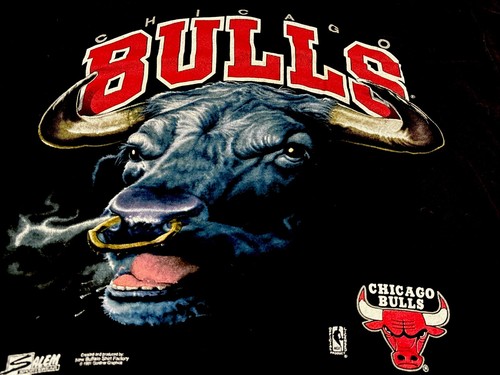 Camiseta DE COLECCIÓN 1991 Salem Sportswear Chicago Bulls M HOMBRE NEGRA Jordan NBA - Imagen 3 de 10