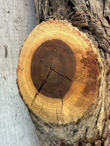 Ironwood Raw Lumber With Bark DIY Woodworking 22 LB 10 OZ Round (24X4.5”) - Picture 10 of 17