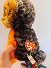 Bild 7 von 11
