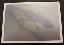 Centre Copie-Art 1991 Group Montreal Canada art gallery exhibition invitation