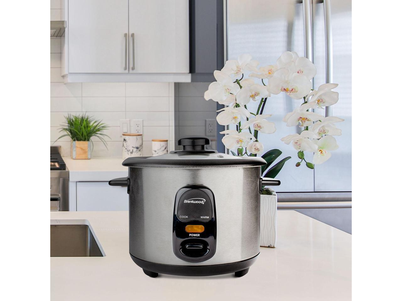 Brentwood Appliances TS-20 10-Cup Uncooked/20-Cup Cooked Rice Cooker, Stainless