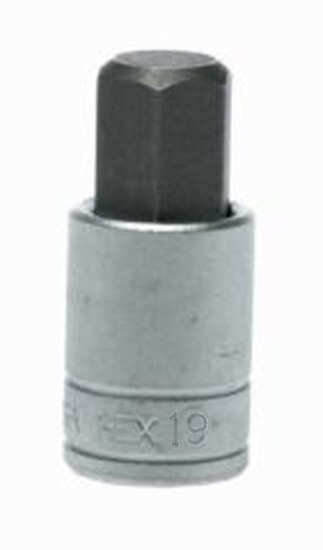 Teng Tools M121519-C - 1/2"" Drive Hex Bit Socket Metric - 19mm