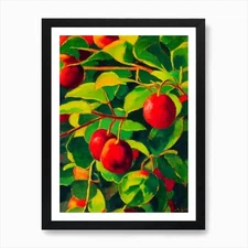 Surinam Cherry 2 Fruit Vibrant Mati Framed Wall Art Poster Canvas Print Picture