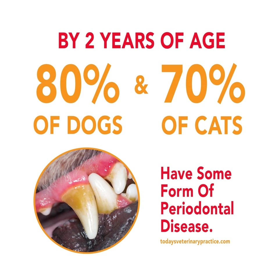 Pasta de dientes para perros y cachorros, limpia dientes y combate el mal aliento, reduce... Foto 4 de 4