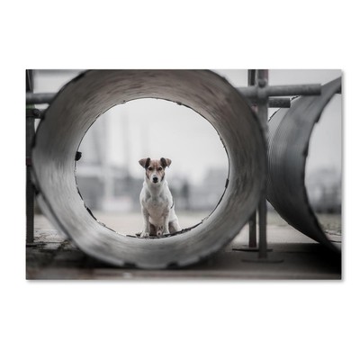 1X00781-C2232GG Canvas Art, 22 in x 32 in