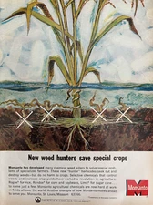 1965 Monsanto Weed Hunters Crops St Louis Mo Corn Soybean Vintage Print Ad