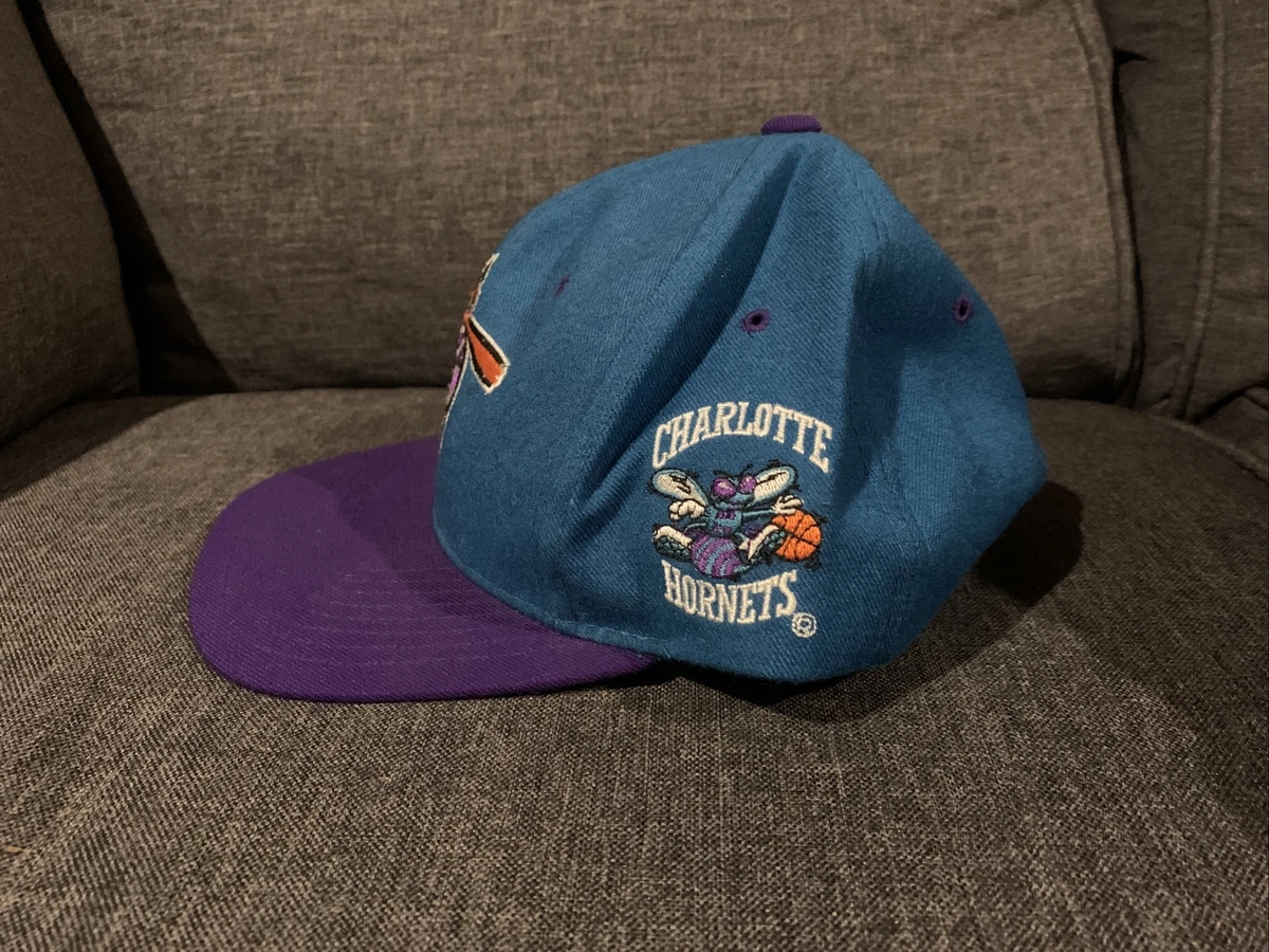 Vintage Rare NBA Charlotte Hornets Nest Characters Starter Natural Snapback Hat
