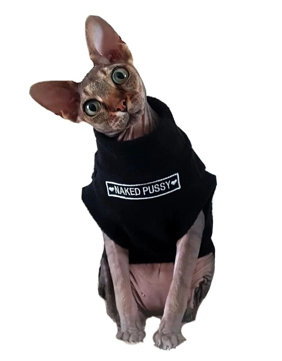 Designer Kitten Clothes  Classic LV T-shirt for Sphynx Cat