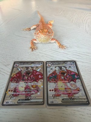 2 good condition charzard exs both for sale good for collectors ng with both set