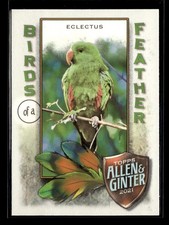 2021 Topps Allen & Ginter Birds of a Feather #BOF-1 Eclectus H273