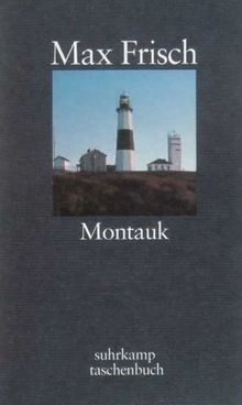 Montauk: Eine Erzählung (suhrkamp taschenbuch) von ... | Buch | Zustand sehr gut