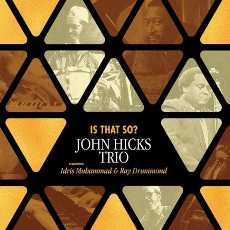 John Hicks Trio Is That So? (Винил) 12 альбомов (ИМПОРТ из Великобритании)