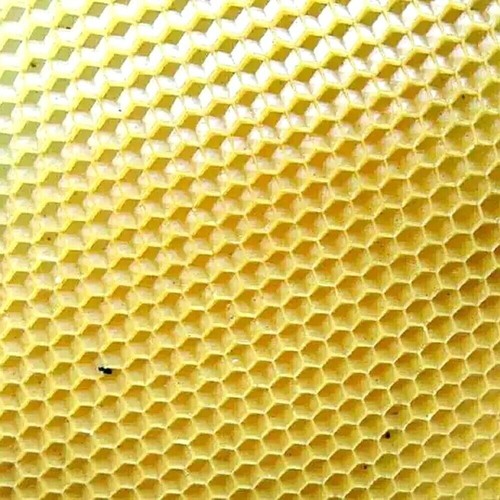 Fondotinta Cera d'api Raffreddante ad Acqua Cellule Silicone Fondotinta Apicoltura! - Foto 11 di 36