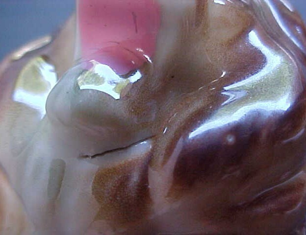 Picture 20 of 20