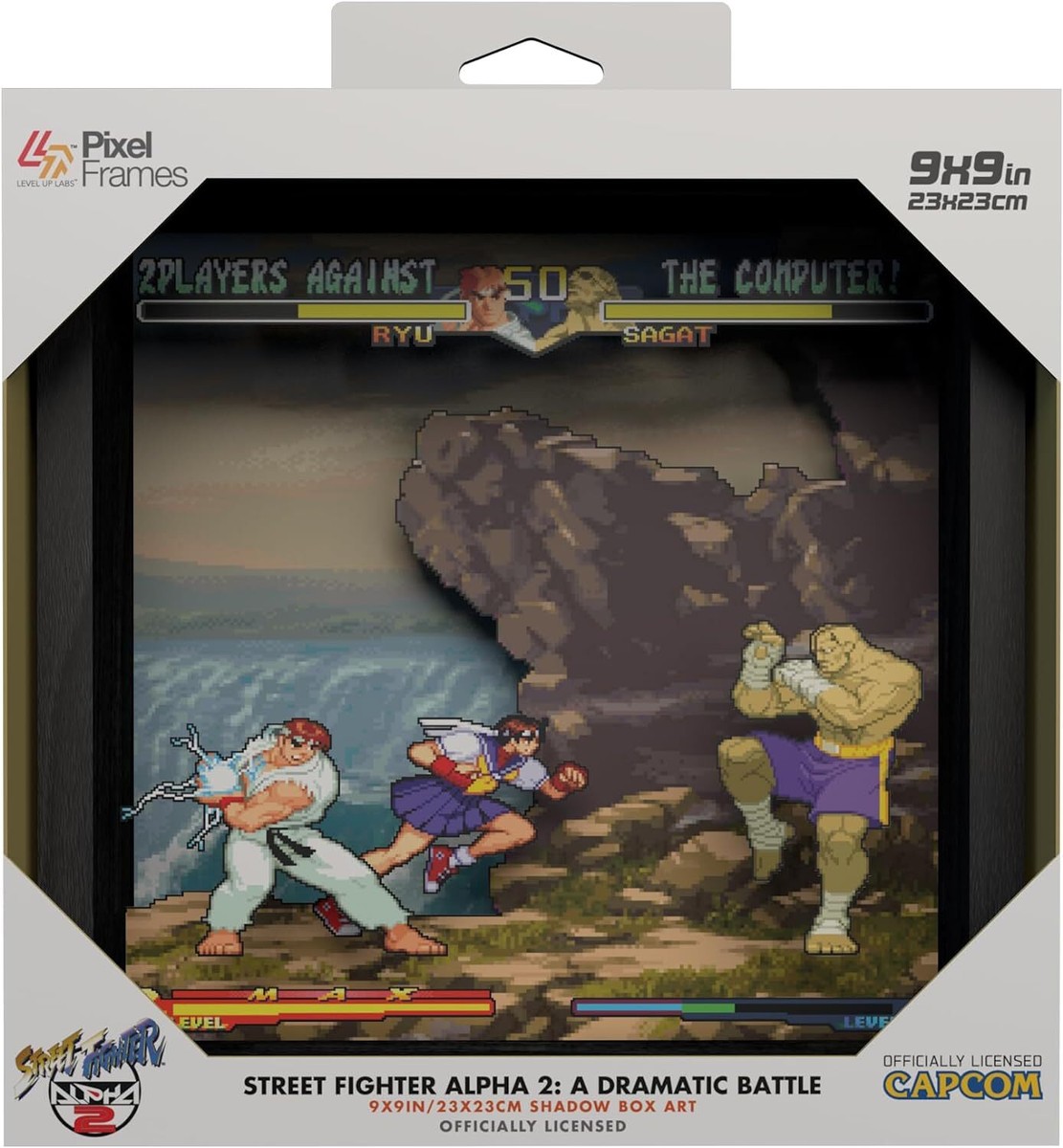 Pixel Frames Street Fighter Alpha 2: A Dramatic Battle 9x9