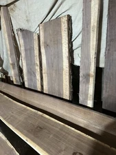 Black Walnut Slabs 