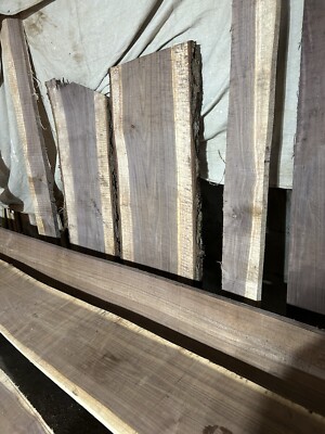 Black Walnut Slabs 