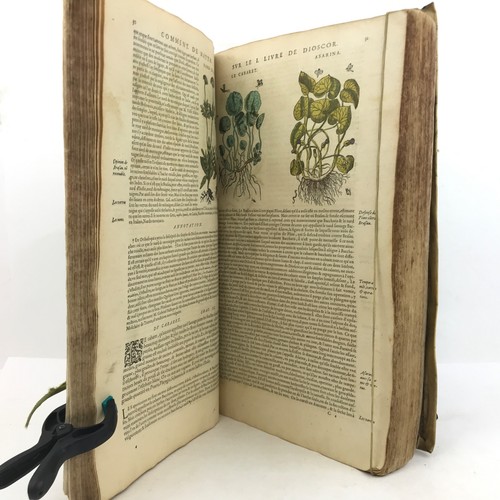 COMMENTAIRES SUR DIOSCORIDE 1579 XVIe P. Mattioli BOIS In-Folio COULEURS - Foto 9 di 24