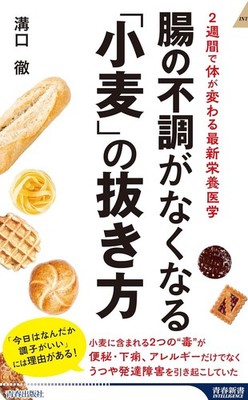How to Cut Wheat for Gut Health Japanese Book New F/S
