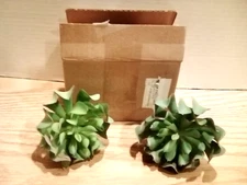 Ebuyom 2 Piece Green Artificial Lotus Lawn Plants NEW