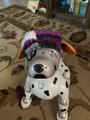 Sony Aibo ERS-1000 accessories, Sony Aibo Hat, Aibo clothes, NO ROBOT INCLUDED