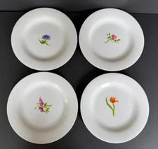 Pottery Barn Set Of 4 Bloom Salad Dessert Plates Ceramic Floral 8.5” Diameter
