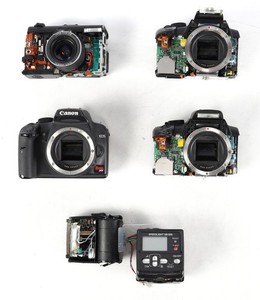 Lot of Canon Rebel DSLR and PowerShot Digital Cameras (Disassembled)