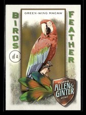 2021 Topps Allen & Ginter Birds of a Feather #BOF-8 Green-Wing Macaw H273