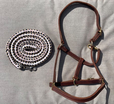 Leather Track Halter Quality Brass Hardware w/ Lead Rope SIZE: Small Horse Cob