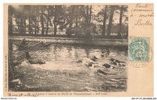 AZYP7-0601-77 Hunting in Fontainebleau Forest Water Bat Postcard