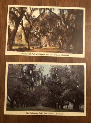 Set Of 2 Postcards - Old Oaks New Orleans, Louisiana Postcard (WP2)