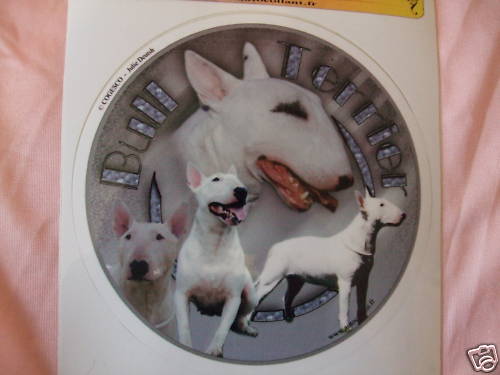 1 autocollant - motif chien BULL TERRIER BLANC - Picture 1 of 1