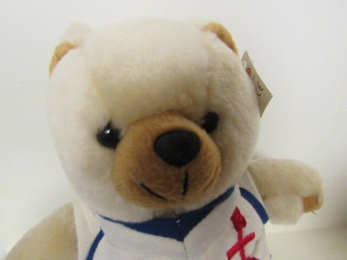 England Soccer # 10 ? Plush Bear - Picture 4 of 7