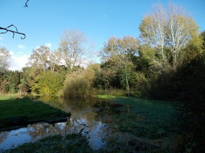 Foto A3 Teich am Wasserguthaus Füße Kray Ein malerischer Fleck der i c2021