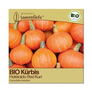 Saatgut Krbis | eBay.de