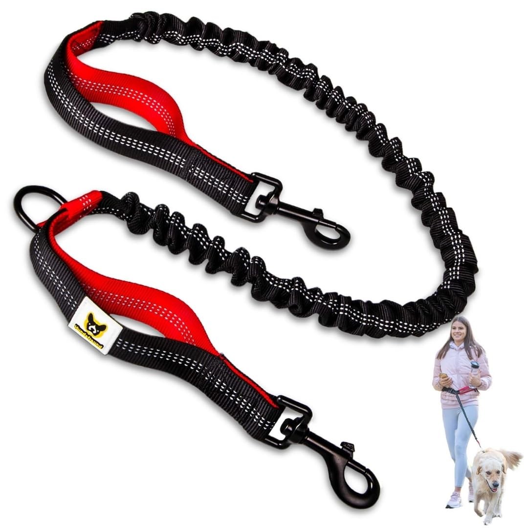 Hundefreund Prolunga Elastica per Guinzaglio  Ricarica da 120 cm con A BD
