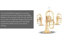 FlugelHorn Brass Bb Flat 4 Valve With HardCase Mouthpiece BLACK FRIDAY